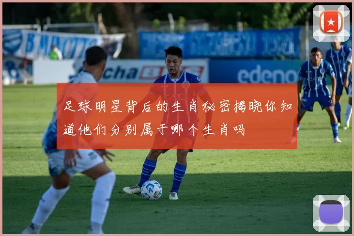 足球明星背后的生肖秘密揭晓你知道他们分别属于哪个生肖吗