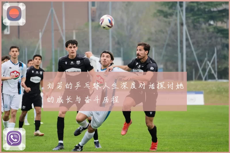 刘芳的乒乓球人生深度对话探讨她的成长与奋斗历程