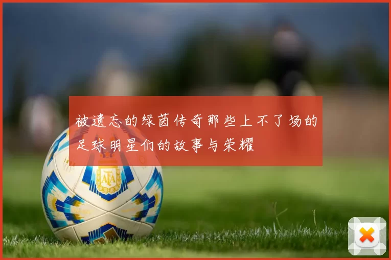 被遗忘的绿茵传奇那些上不了场的足球明星们的故事与荣耀