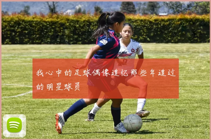 我心中的足球偶像追忆那些年追过的明星球员