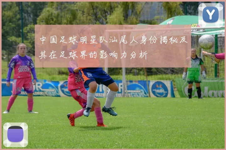 中国足球明星队汕尾人身份揭秘及其在足球界的影响力分析