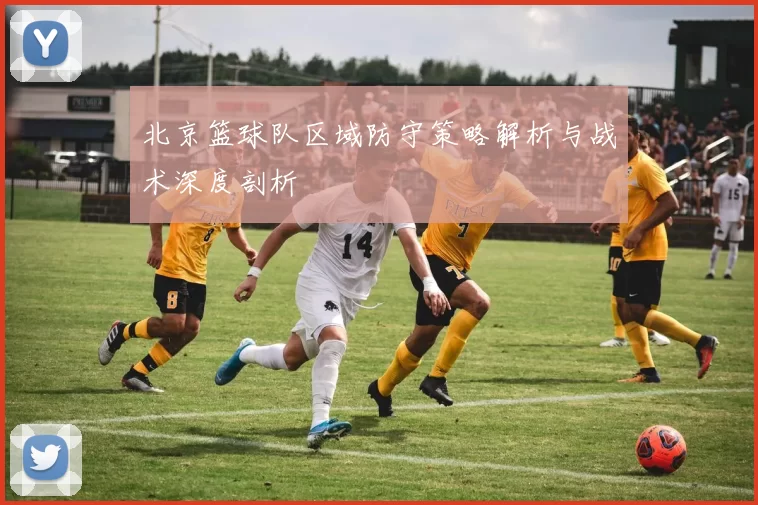 北京篮球队区域防守策略解析与战术深度剖析