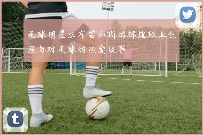 足球明星法布雷加斯的辉煌职业生涯与对足球的热爱故事