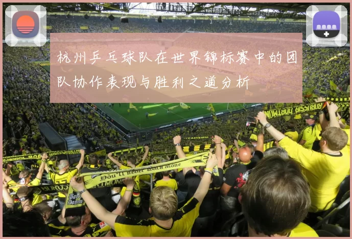 杭州乒乓球队在世界锦标赛中的团队协作表现与胜利之道分析