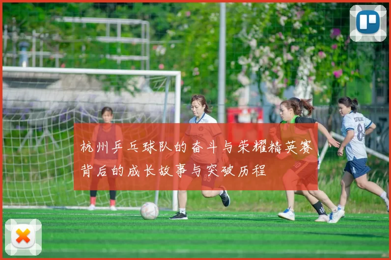 杭州乒乓球队的奋斗与荣耀精英赛背后的成长故事与突破历程
