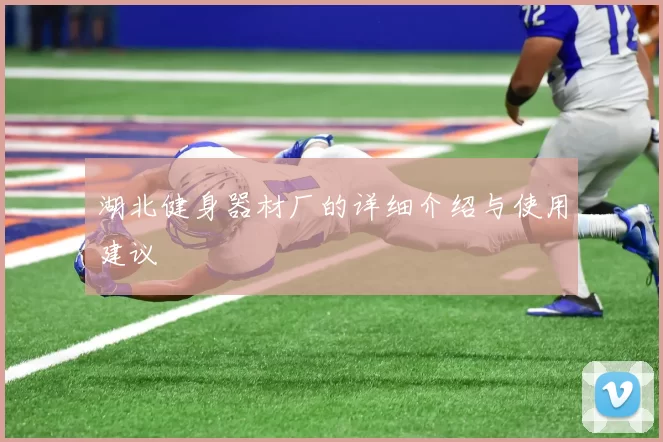 湖北健身器材厂的详细介绍与使用建议