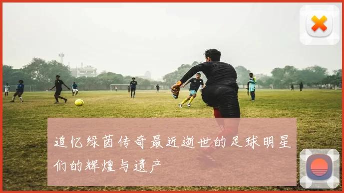 追忆绿茵传奇最近逝世的足球明星们的辉煌与遗产