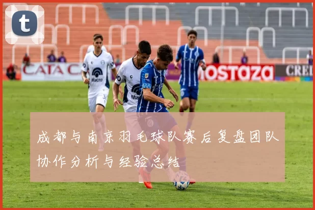 成都与南京羽毛球队赛后复盘团队协作分析与经验总结
