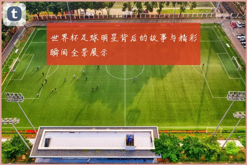 世界杯足球明星背后的故事与精彩瞬间全景展示