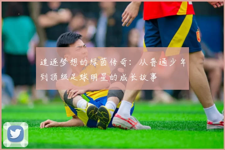 追逐梦想的绿茵传奇：从普通少年到顶级足球明星的成长故事