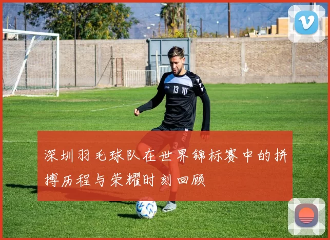 深圳羽毛球队在世界锦标赛中的拼搏历程与荣耀时刻回顾
