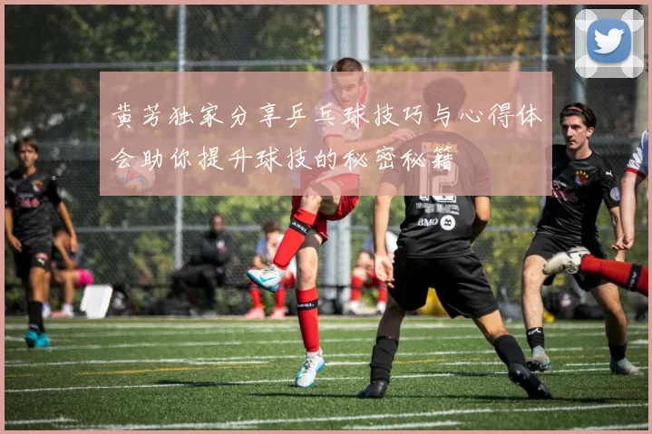 黄芳独家分享乒乓球技巧与心得体会助你提升球技的秘密秘籍