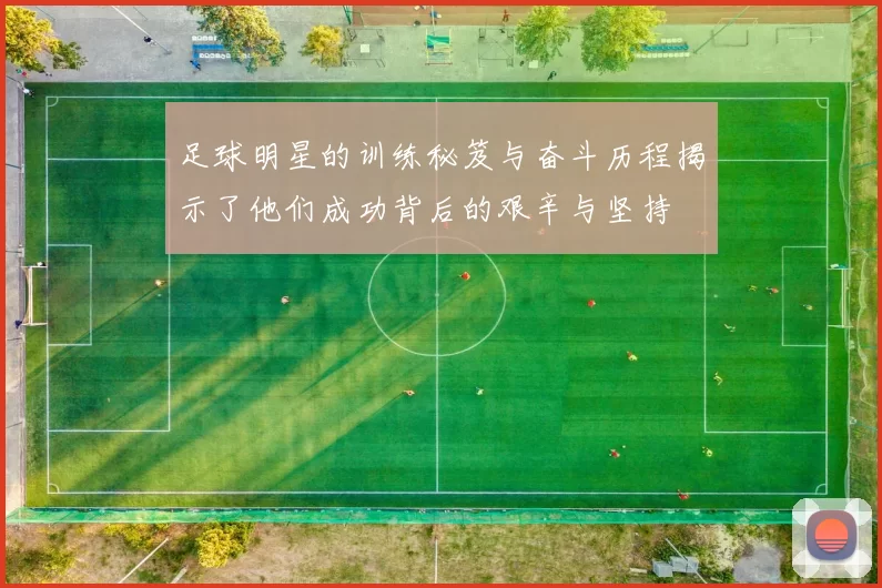 足球明星的训练秘笈与奋斗历程揭示了他们成功背后的艰辛与坚持
