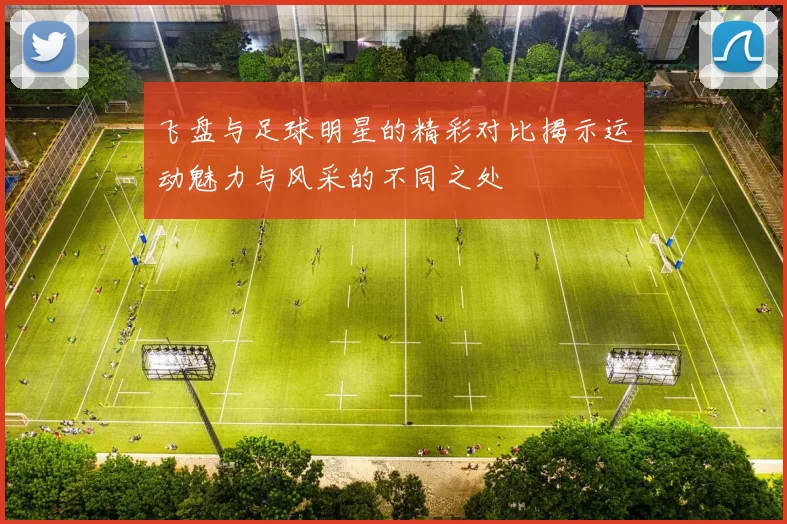 飞盘与足球明星的精彩对比揭示运动魅力与风采的不同之处