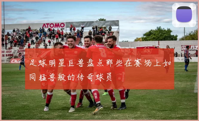 足球明星巨兽盘点那些在赛场上如同猛兽般的传奇球员