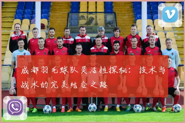 成都羽毛球队灵活性探秘：技术与战术的完美结合之路