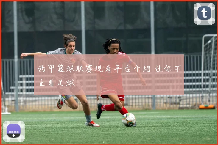 西甲篮球联赛观看平台介绍 让你不止看足球