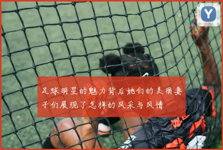 足球明星的魅力背后她们的美丽妻子们展现了怎样的风采与风情