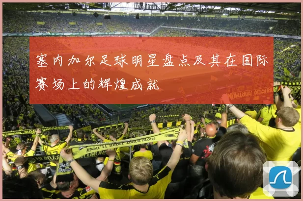 塞内加尔足球明星盘点及其在国际赛场上的辉煌成就