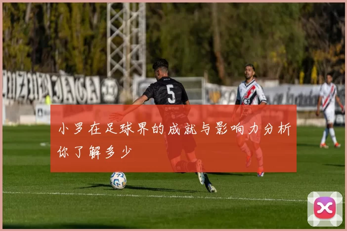 小罗在足球界的成就与影响力分析你了解多少